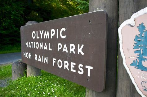The Complete Visitors Guide To Olympic National Park Beyond The Tent