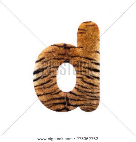 Tiger Letter D Small Image Photo Free Trial Bigstock
