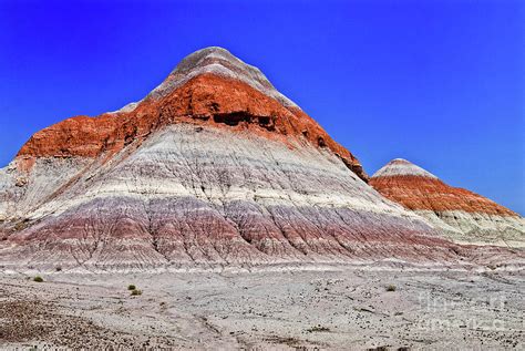 Painted Desert National Park Photograph By Bob And Nadine Johnston Pixels