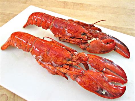 Top 10 comment réchauffer un homard cuit