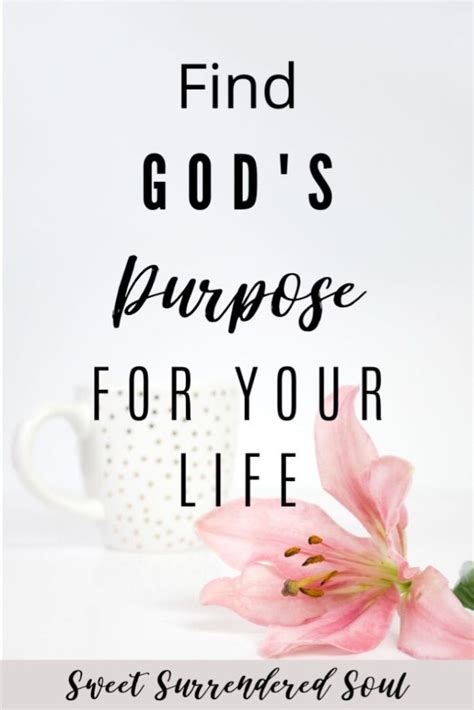 Discover Your God Given Purpose Sweet Surrendered Soul