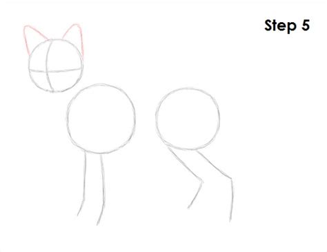 A cartoon needs to have large big eyes as the animation picture. How to Draw a Fox (Red Fox)