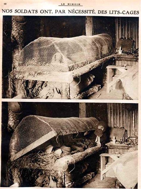 Rat Proof Trench Bed For French Soldiers In Ww1 Ugrielli