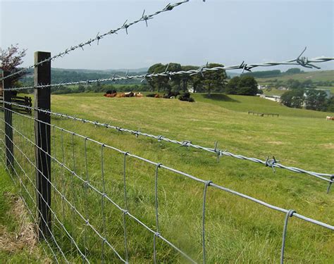 Galvanized Grassland Fence Manufacturer Factory