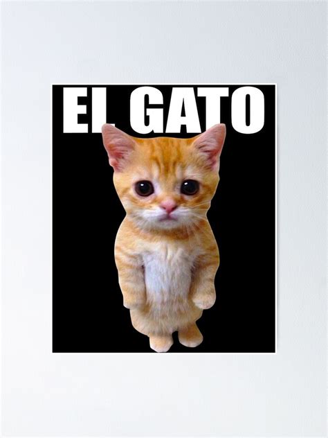 Póster El Gato Meme Sad Crying Cat Munchkin Kitty Meme Trendy De