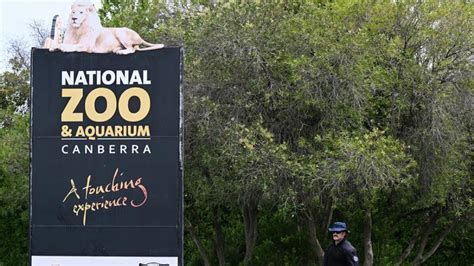Man Charged With Murder Over Fatal Stabbing At Zoo Shepparton News