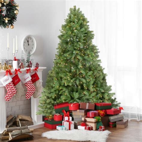Northlight Real Touch ️ Pre Lit Full Noble Fir Artificial Christmas
