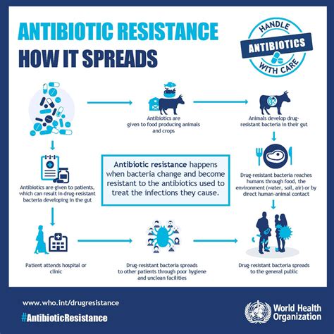 Antimicrobial Resistance How It Spreads Insightsias