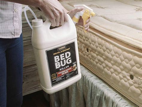 Bed Bug Killer Chemical Can Classical Pest Control Id 22466211012