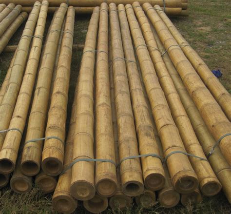 quality bamboo and asian thatch buy bamboo poles on sale at bamboo creasian choose bamboo poles