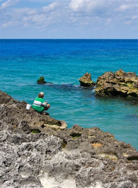 Cayman Eco Beyond Cayman Climate Change Added Billion