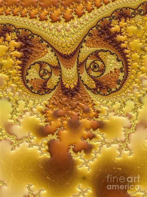Fractal Digital Art Owl Abstract By Heidi Smith Fractal Geometry