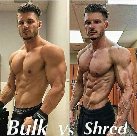 What Is Bulking And Cutting Tampalasopa