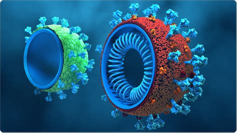 Sars Cov 2 Virus Like Particles Elicit Potent Neutralizing Antibody
