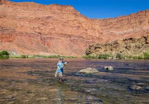 Best Fishing Spots In Arizona