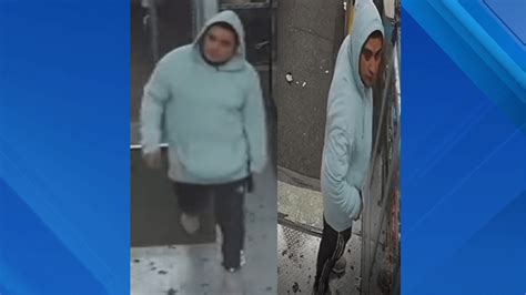 Robber Still At Large In Sexual Assault In Queens Alley Nypd