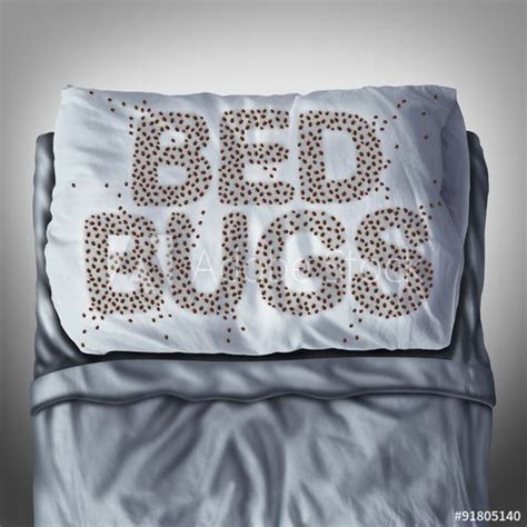Bed Bugs On Pillow In 2021 Bed Bugs Rid Of Bed Bugs Termite Control