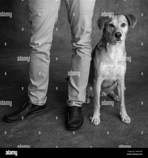Man Standing Next To Dog Stock Photo Alamy