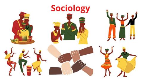 What Is Sociology Definition And Overview Research Method