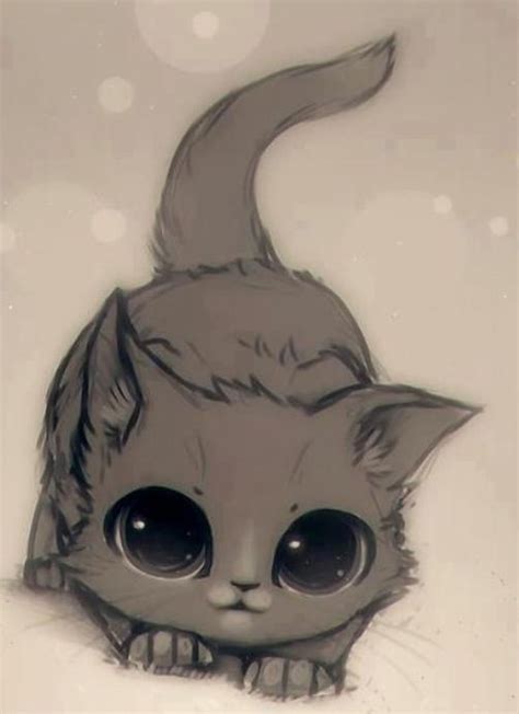 Big Eyed Kitty Cat Art Cute Drawings Anime Drawings