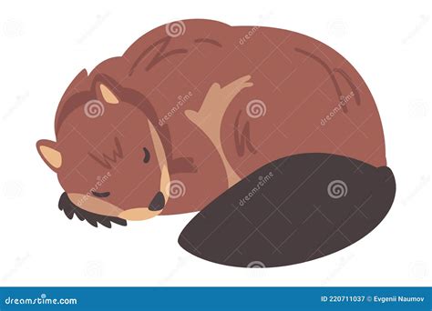 Cute Brown Sleeping Beaver Wild Rodent Mammal Animal Cartoon Vector