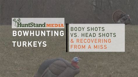 Bowhunting Turkeys Body Shots Vs Head Shots Recovering From A Miss