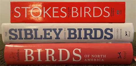 Review National Audubon Society Birds Of North America