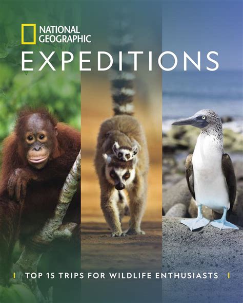 top 15 trips for wildlife enthusiasts national geographic expeditions by national geographic
