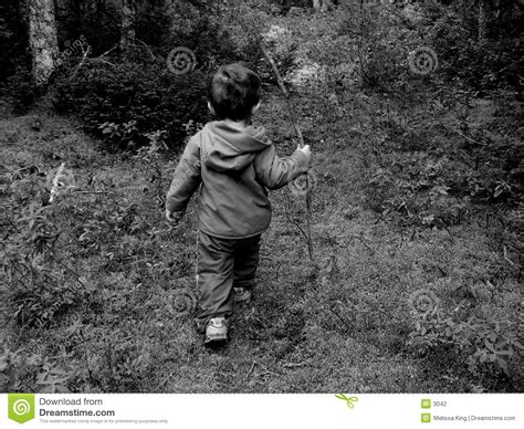 Little Boy In Woods Stock Photo Image Of Families Child