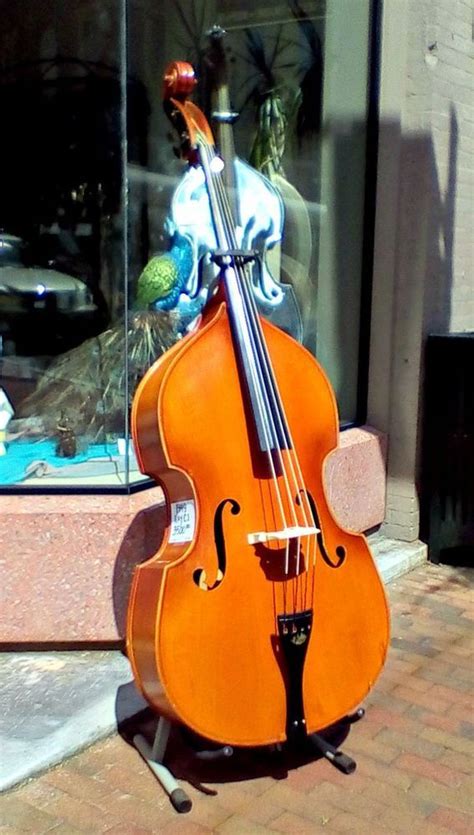 Kay C Vintage Upright Bass Kay Upright Bass Double Bass Acoustic Bass