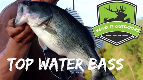 Top Water Bass Fishing Send It Outdoors Youtube