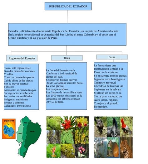 Cuadros sinópticos de las regiones naturales de Ecuador Cuadro Comparativo