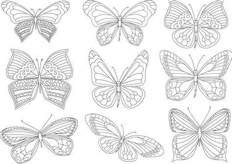 Kolorowanki Motyle Motylki Pobierz I Wydrukuj Za Darmo Planeta Dziecka