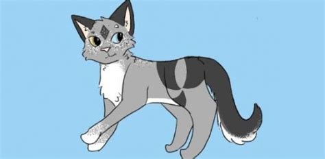 Silver Night Make Your Own Warrior Cat Fan Art 43075247 Fanpop