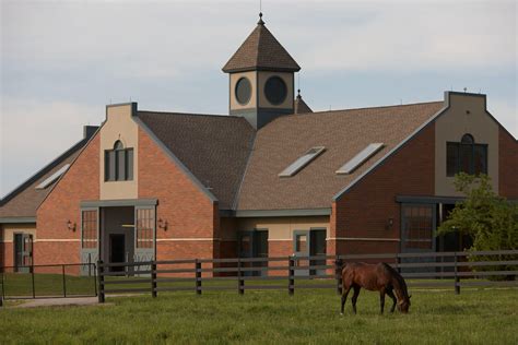 Darley Thoroughbred Horse Farm Tours In Lexington Kentucky