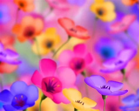 Free Download Flowers For Flower Lovers Flowers Background Desktop