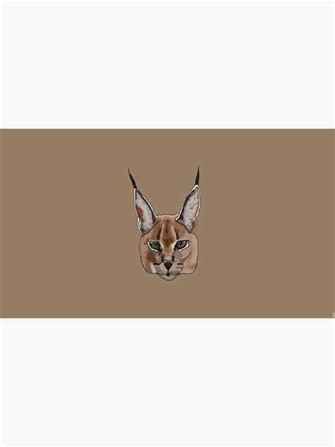 Caracal Poster For Sale By Theseguysthough Redbubble