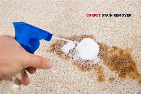 How Do Professionals Remove Stubborn Old Carpet Stains Carpet Stain