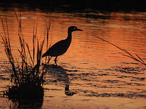 Manasquan River State Wildlife Management Area, a New Jersey State