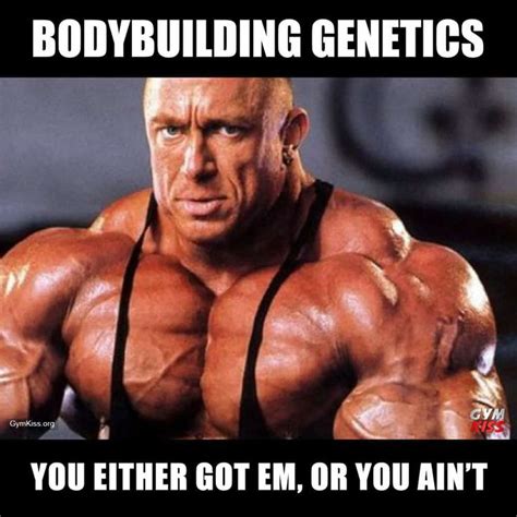 Funny Body Building Comis Master Bodybuilding