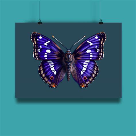 Purple Emperor Butterfly Wall Art Butterfly Print Butterfly Etsy
