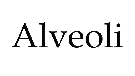 Leave a vote for your preferred pronunciation. How to Pronounce Alveoli - YouTube