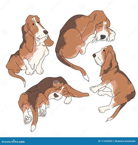 Vector Illustration Funny Dog Thoroughbred On A White Background Stock