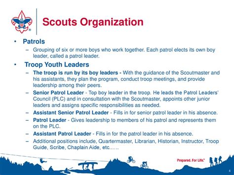 Overview Of Material Goals Of Scouting Adult Leaders Rank Advancement