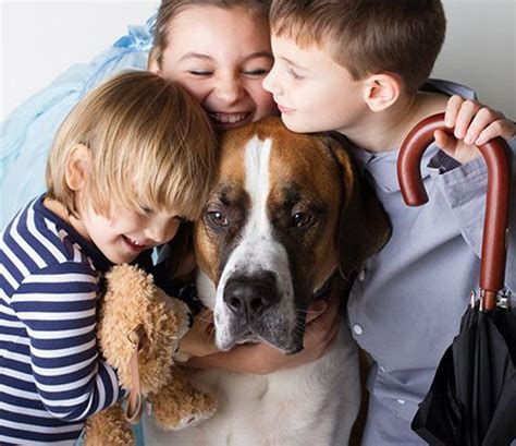 Top 10 Dog Breeds Suitable For Young Kids Petsourcing