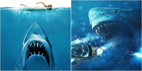 The Best Killer Shark Movies Against Every Jaws According To Rotten