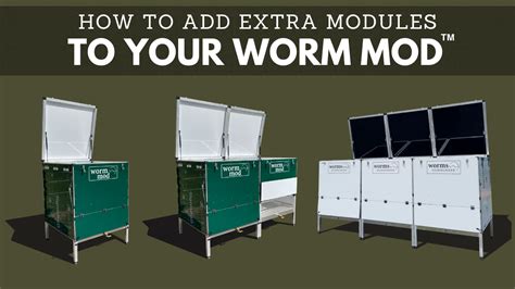 Worm Farming Resources And Set Up Guides Worms Downunder