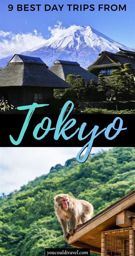 14 Best Day Trips From Tokyo You Could Travel Day Trips From Tokyo