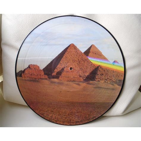 Pink Floyd Dark Side Of The Moon Picture Disc Lp For Sale On