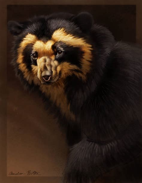 Spectacled Bear By Pixxus On Deviantart